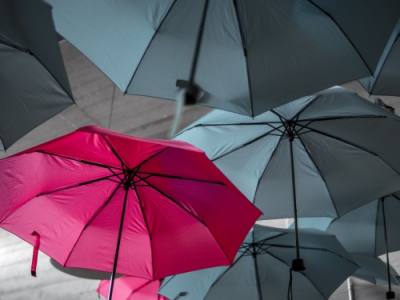New obligations of employers pursuant to the Act on the protection of whistle-blowers of unlawful activities